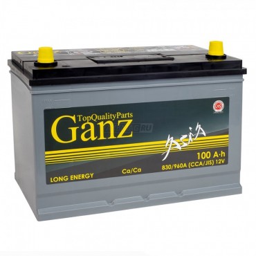 GANZ ASIA 100R 830A 304x173x220